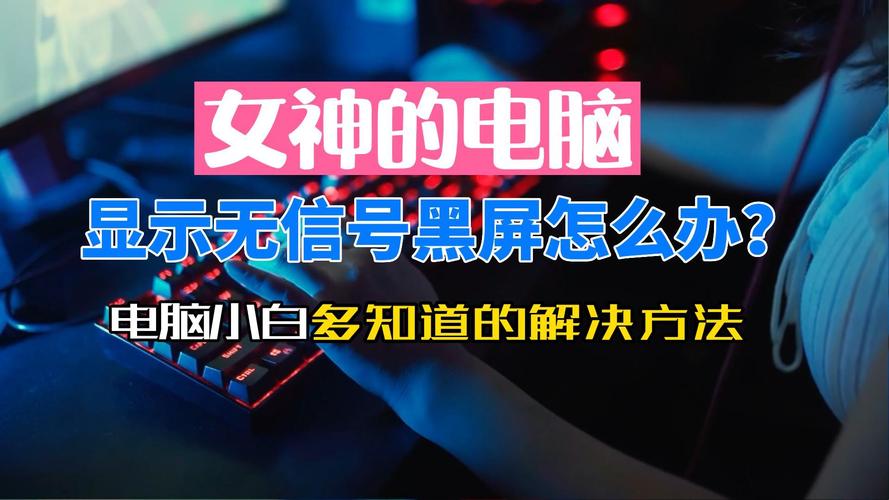 电脑主机开着显示器不亮怎么回事？电脑主机开着显示器不亮怎么回事儿？-第5张图片-优品飞百科