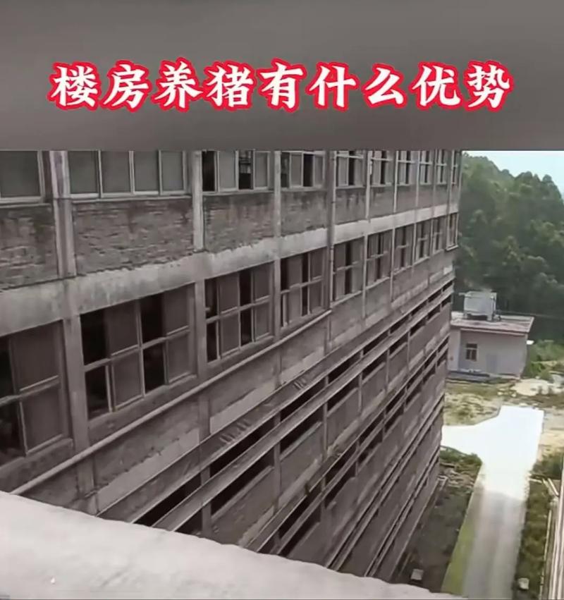 非洲疫情视频，非洲疫情视频大全-第1张图片-优品飞百科