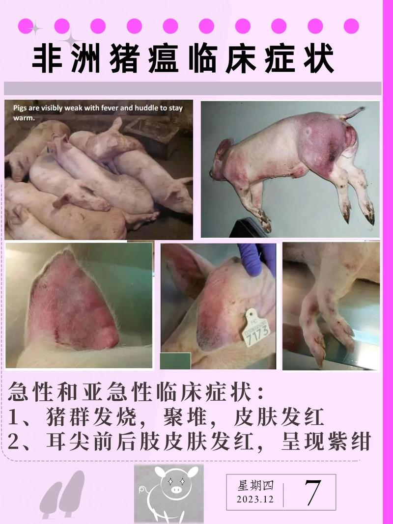 非洲疫情视频，非洲疫情视频大全-第5张图片-优品飞百科