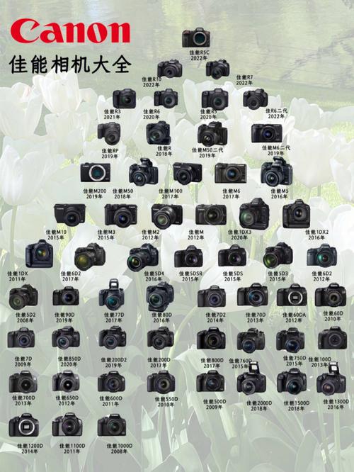 佳能30d相机的费用，佳能30d还值得买吗？-第2张图片-优品飞百科