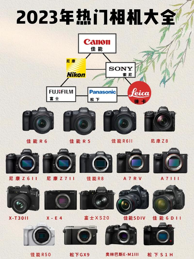 索尼a系列单反相机推荐，索尼a系列相机有哪些-第5张图片-优品飞百科