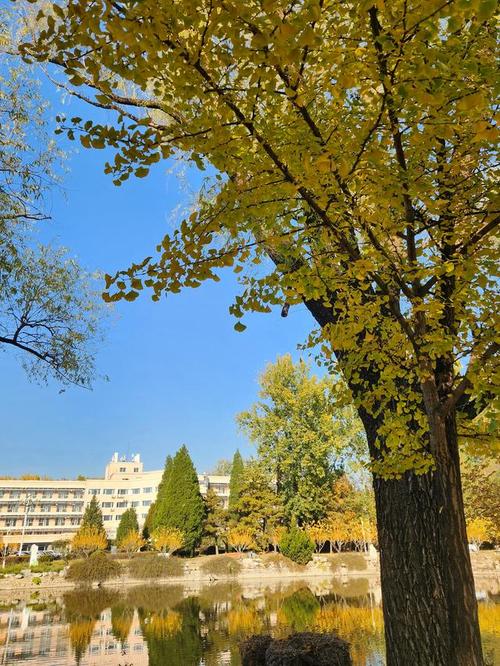 康复医院疫情，康复中心疫情？-第6张图片-优品飞百科