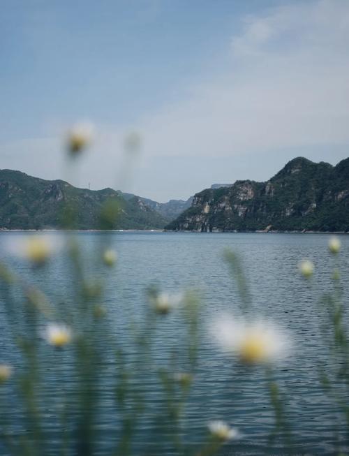 疫情宅家露营，家庭露营必备物品清单？-第5张图片-优品飞百科