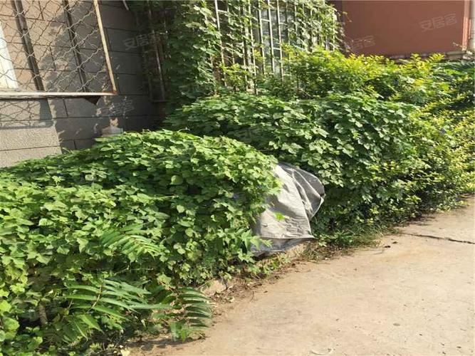 今日大兴疫情，今日大兴疫情新增？-第2张图片-优品飞百科