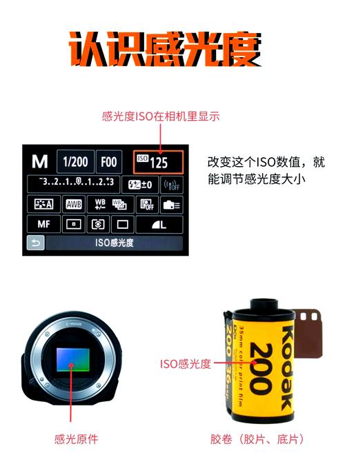 佳能相机70d使用教程？佳能数码相机70d使用说明书？