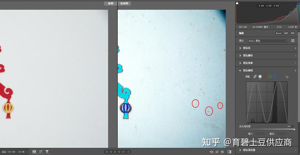单反相机镜头进灰怎样清除？单反镜头 进灰？-第4张图片-优品飞百科