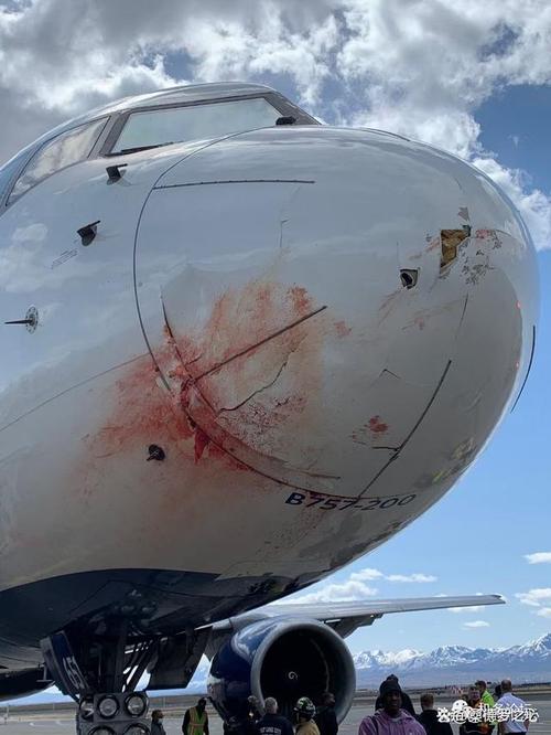 海航疫情餐食，海航疫情防控-第2张图片-优品飞百科