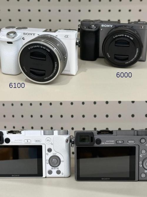 索尼a5000和索尼a6000哪个值得买，索尼a5000跟a6000-第3张图片-优品飞百科