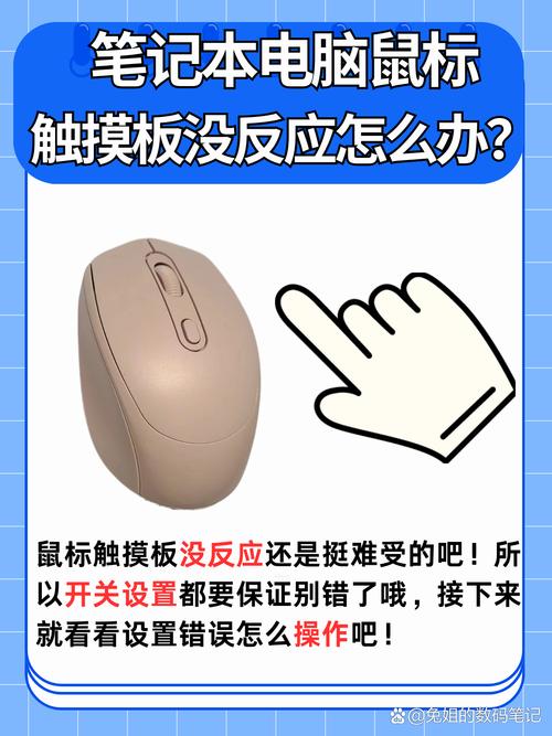 鼠标没反应怎么处理，鼠标没反应怎么处理好？