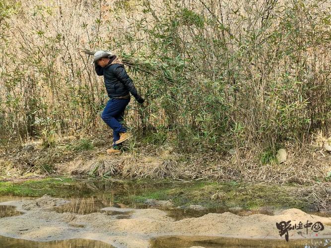 疫情逃离车，疫情患者出逃？-第2张图片-优品飞百科