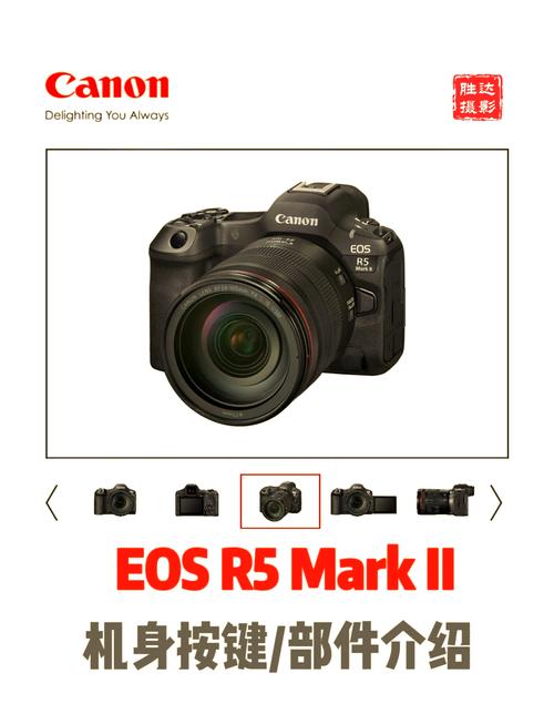 佳能相机最新款型号r5，佳能相机最新款型号r50？-第4张图片-优品飞百科