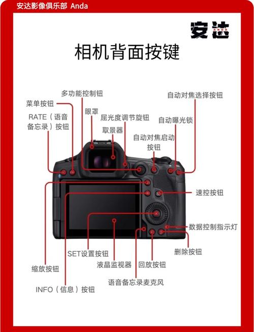 佳能相机最新款型号r5，佳能相机最新款型号r50？-第6张图片-优品飞百科