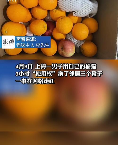 疫情在家的网友？疫情期间网友在家自娱自乐的说说？-第4张图片-优品飞百科