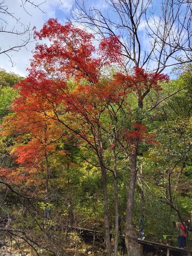 本溪桓仁疫情，本溪桓仁是哪个省的城市？-第3张图片-优品飞百科