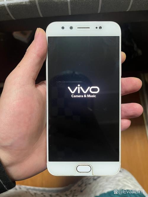 vivox9是什么时候上市时多少钱？vivox9什么时候发售的？-第2张图片-优品飞百科