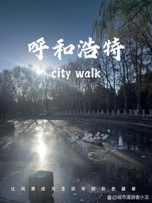 到呼市疫情政策?抵达呼和浩特?-第1张图片-优品飞百科 到呼市疫情政策?抵达呼和浩特?-第1张图片-优品飞百科