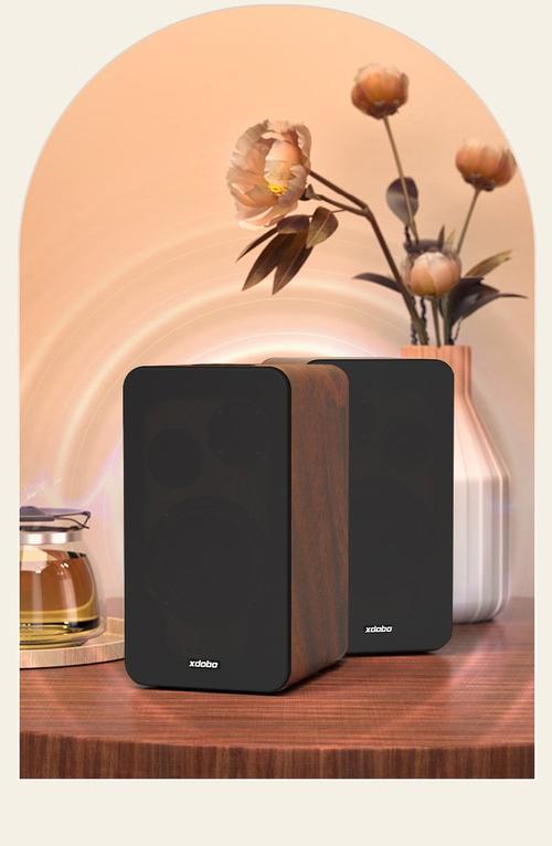 电脑音响便宜音质好的，音质不错的电脑音响-第5张图片-优品飞百科