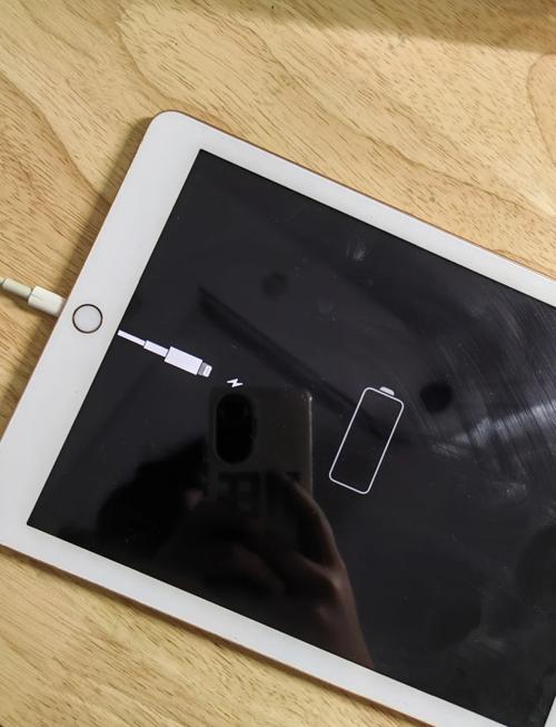 冬天ipad充不进电怎么回事？冬天为什么ipad充不进去电？-第6张图片-优品飞百科