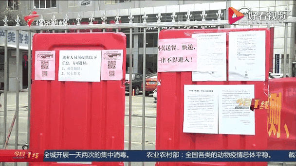 疫情导致审车，受疫情影响审车可以延后吗-第4张图片-优品飞百科