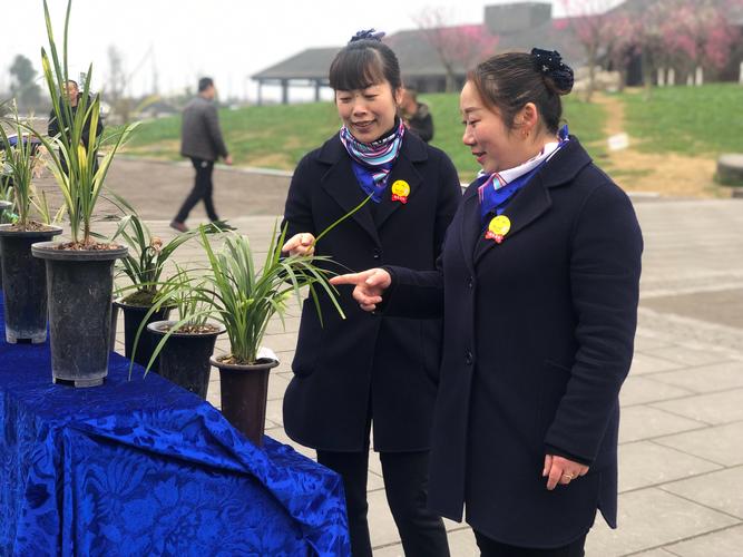 兴义安龙疫情，兴义安龙县今日新闻？-第5张图片-优品飞百科