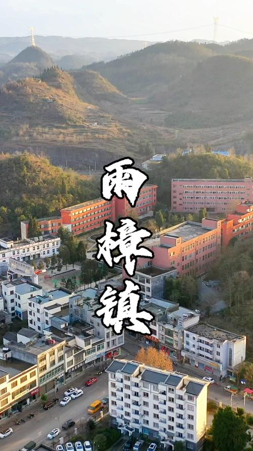 兴义安龙疫情，兴义安龙县今日新闻？-第7张图片-优品飞百科