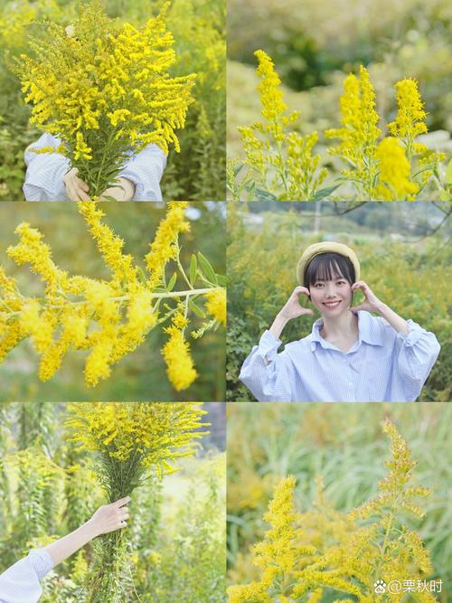 温岭疫情商铺，温岭商铺温岭门面温岭商铺网？-第5张图片-优品飞百科