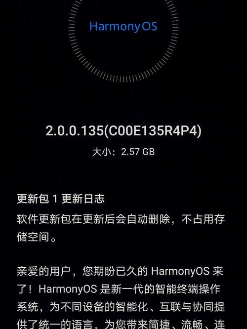 荣耀20pro可以使用内存卡吗，荣耀20pro有内存卡吗-第5张图片-优品飞百科