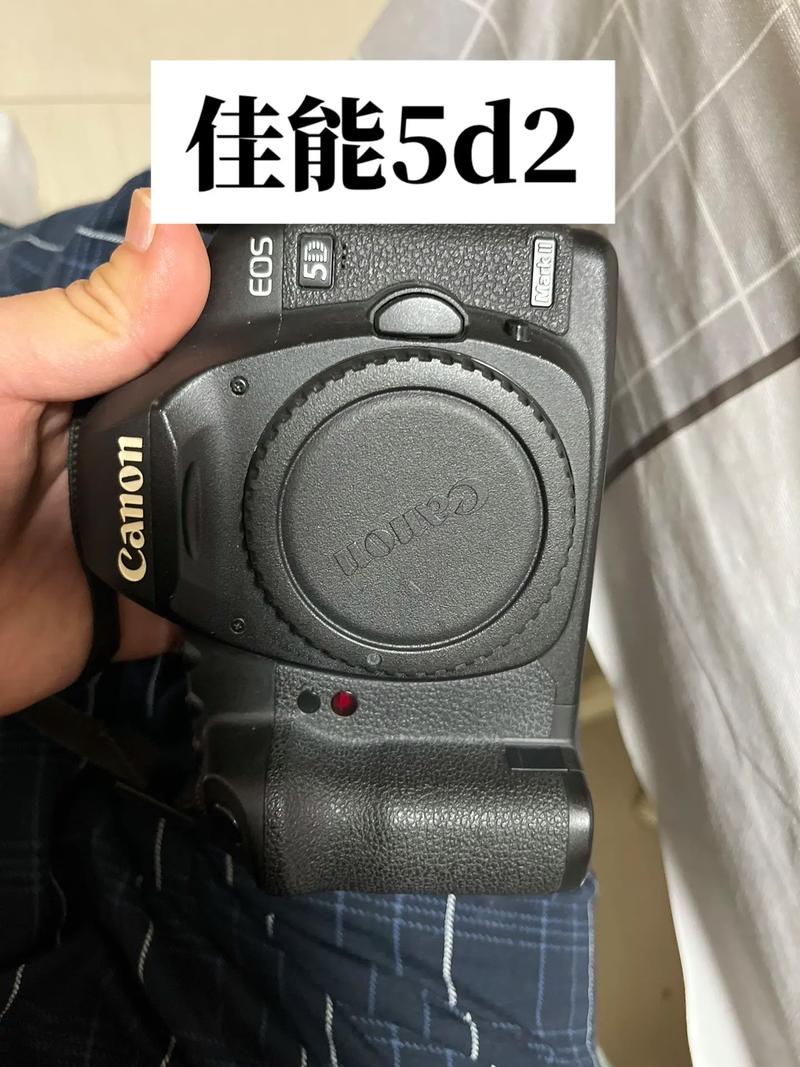 佳能5d2拍摄技巧，佳能5d2拍摄技巧视频-第4张图片-优品飞百科