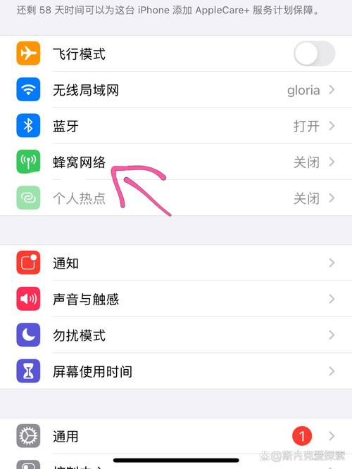 iphone网络设置方法，iphone手机网络设置？-第8张图片-优品飞百科