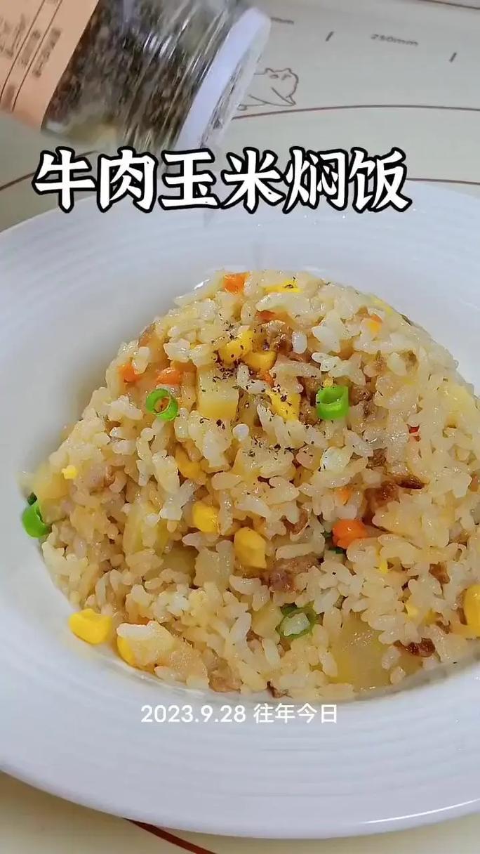 飞利浦电饭锅怎么煮饭，飞利浦电饭锅煮饭需要几分钟？