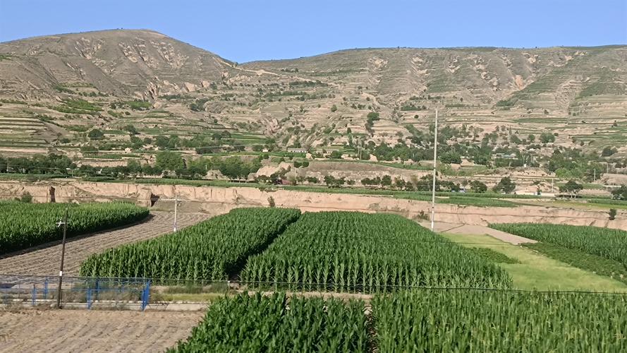 兰州最新疫情的情况,兰州最新疫情最新消息20200216?-第4张图片-优品飞百科 兰州最新疫情的情况,兰州最新疫情最新消息20200216?-第4张图片-优品飞百科