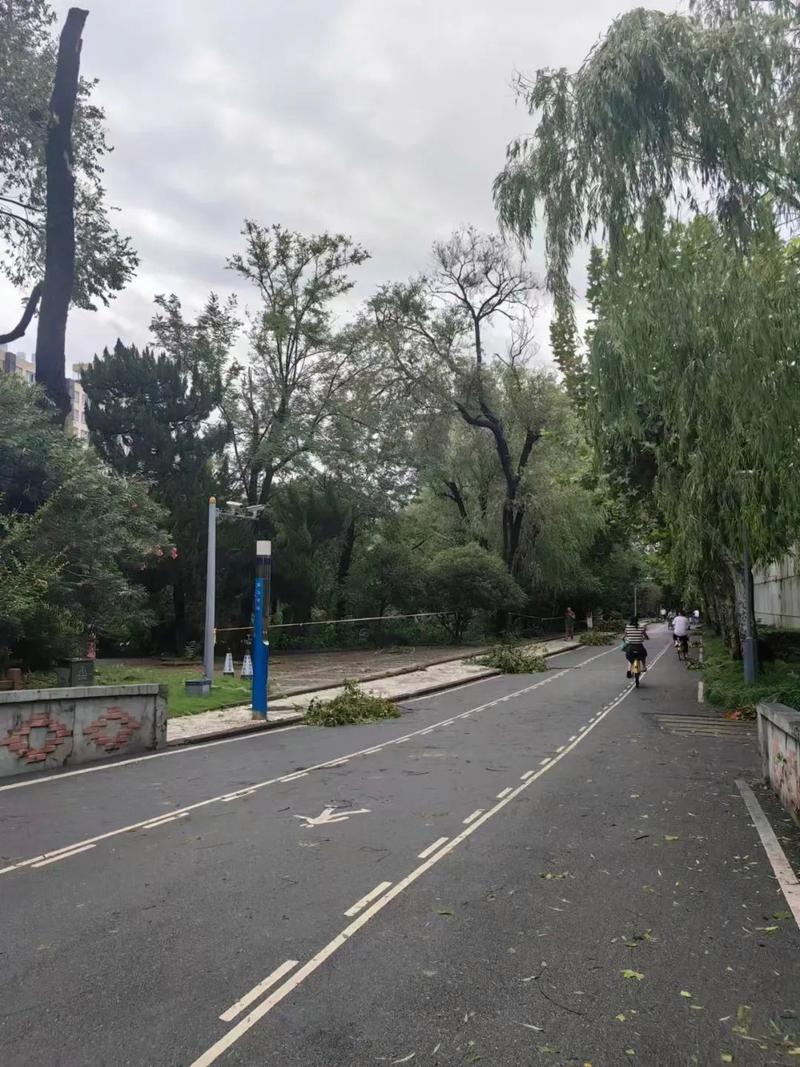 纪念疫情的视频?纪念疫情的电影叫什么名字?-第1张图片-优品飞百科 纪念疫情的视频?纪念疫情的电影叫什么名字?-第1张图片-优品飞百科