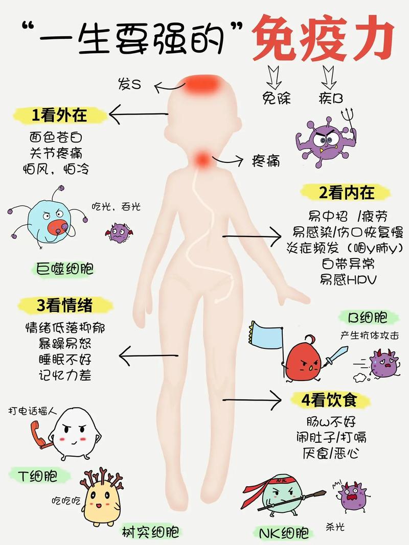 八大系统为什么没有免疫系统，八大系统有免疫系统吗-第3张图片-优品飞百科
