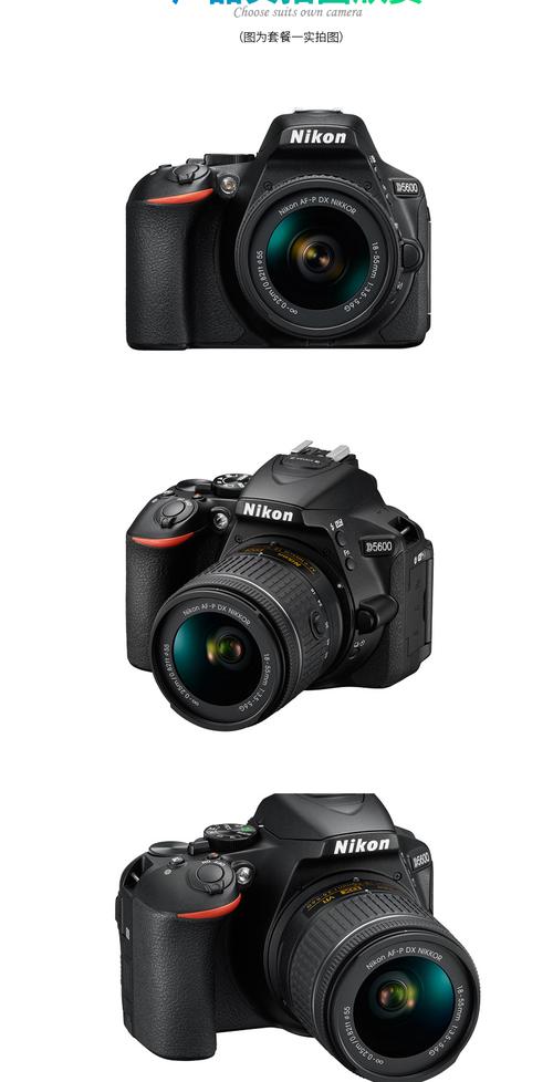 尼康最新款单反相机费用，尼康单反最新发布？