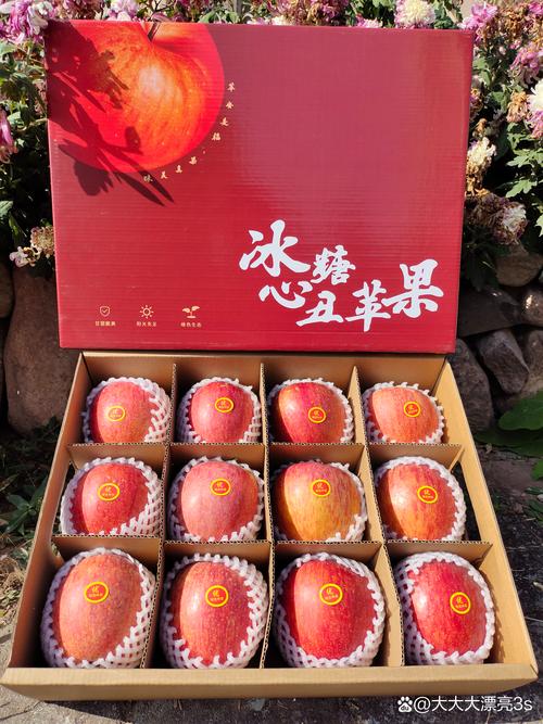 苹果5乔布斯参与了吗？苹果5的时候乔布斯还在吗？-第2张图片-优品飞百科