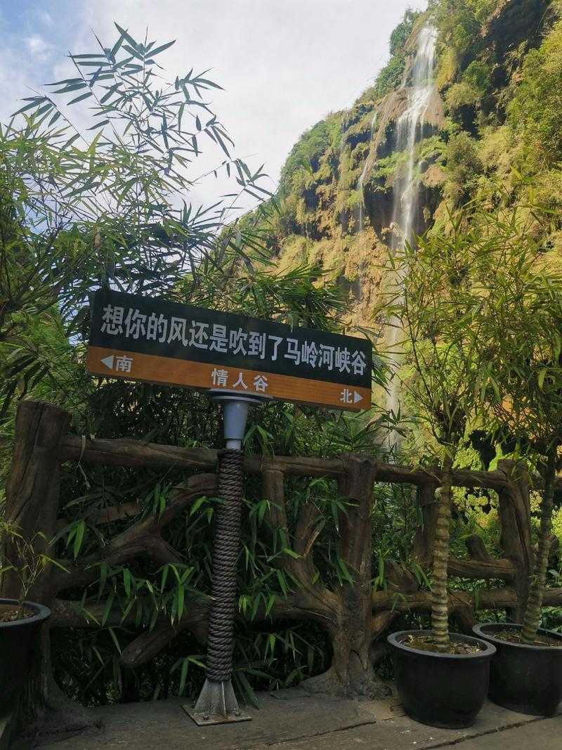 南非没有疫情，南非现在疫情严重吗？-第3张图片-优品飞百科