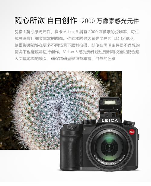 徕卡相机编号查询？徕卡 相机编号？-第2张图片-优品飞百科