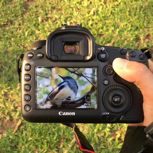 佳能5ds分辨率，佳能500d录视频分辨率？-第5张图片-优品飞百科