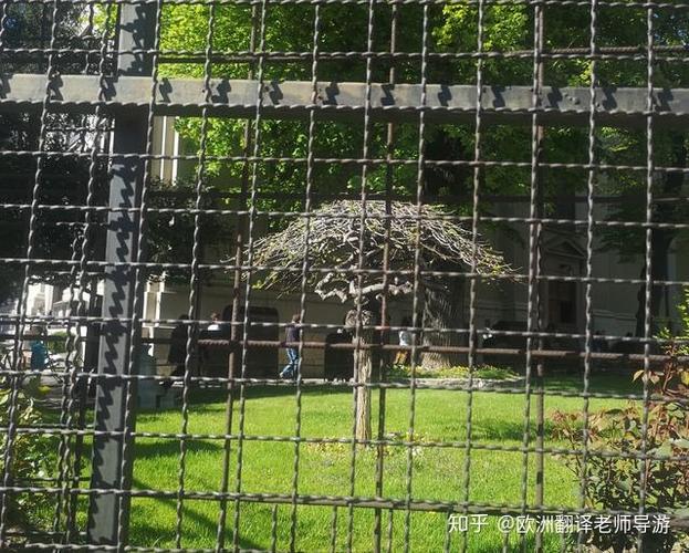 现在疫情趋势，现在疫情趋势如何？-第6张图片-优品飞百科