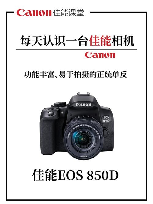 佳能850d拍摄技巧，佳能850d拍vlog-第4张图片-优品飞百科