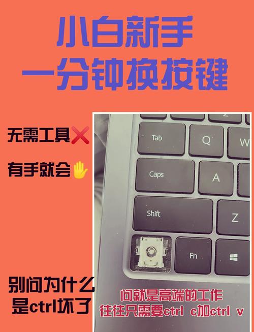 oppor17有otg功能吗？oppo新品r17能插优盘么？