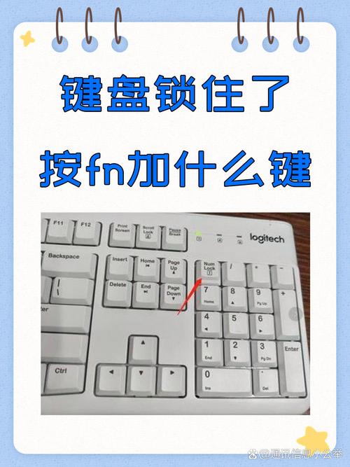 戴尔笔记本键盘锁是哪个键，戴尔笔记本电脑键盘被锁如何解锁