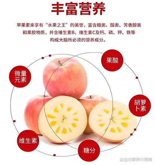 苹果的功效与作用有哪些，苹果的功效是哪些？-第6张图片-优品飞百科