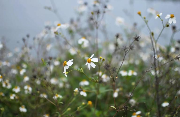 尼康d3000闪光灯怎么开，尼康d3000闪光灯控制？-第6张图片-优品飞百科