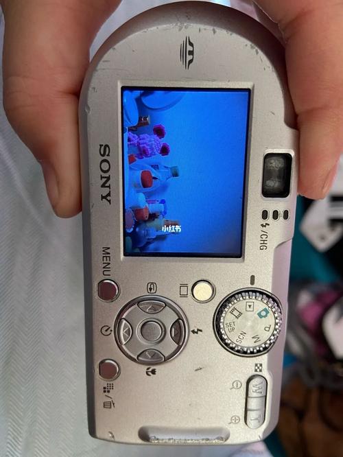 ccd相机可以自拍吗，ccd可以拍视频吗-第3张图片-优品飞百科