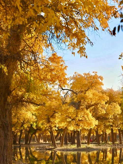 额济纳旗天气预报，额济纳旗天气预报15天？-第3张图片-优品飞百科