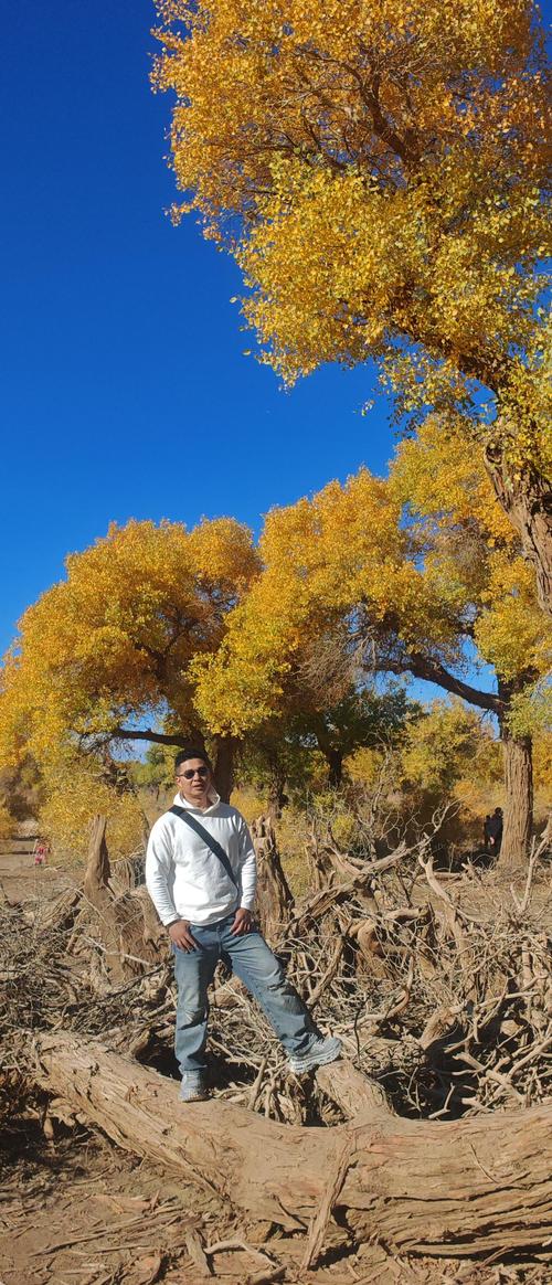 额济纳旗天气预报，额济纳旗天气预报15天？-第4张图片-优品飞百科
