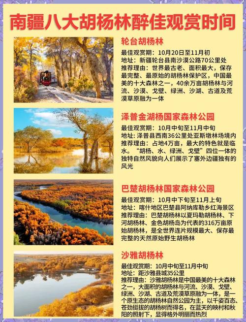 额济纳旗天气预报，额济纳旗天气预报15天？-第6张图片-优品飞百科