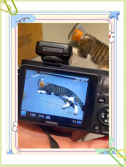 三星微单是什么卡口，三星的微单