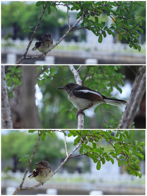 7d相机配什么镜头好，7d相机怎么样-第4张图片-优品飞百科